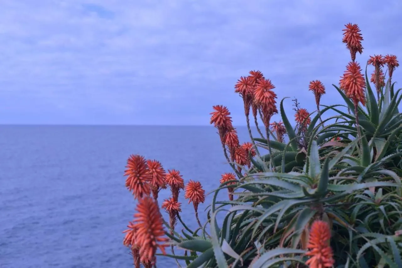 La Casetta Re-Used Apartment Bogliasco 0*,  Italy